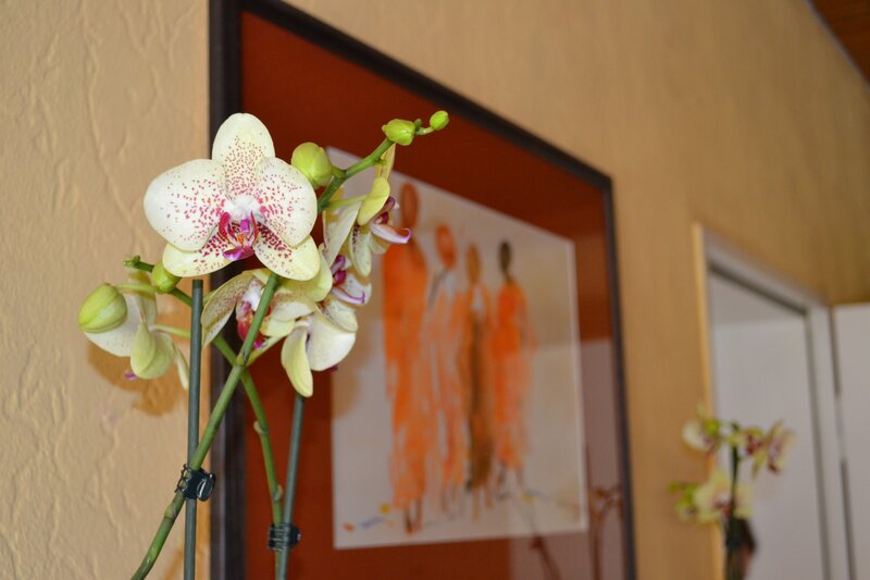 Orchid in front of artwork