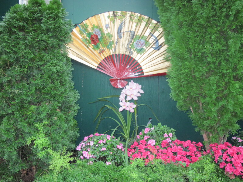 Orchid in Garden