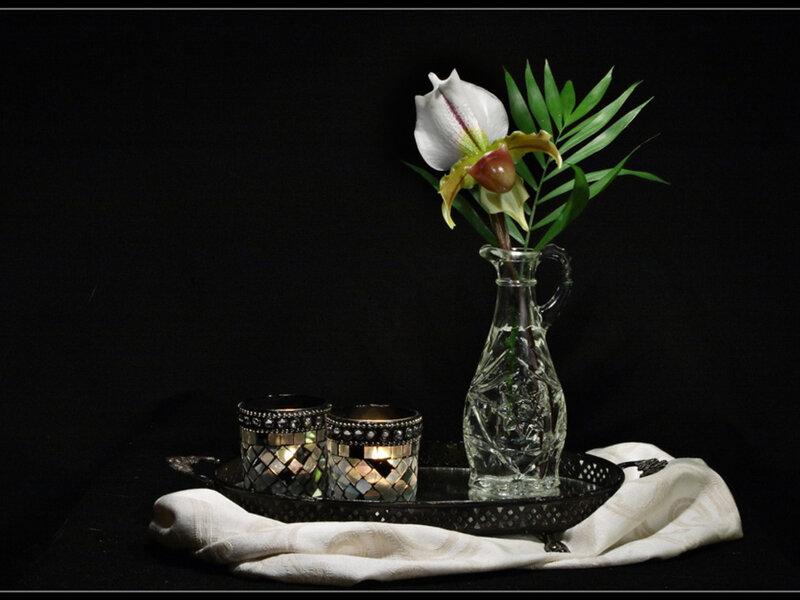 Orchid in Glass Vase — Black