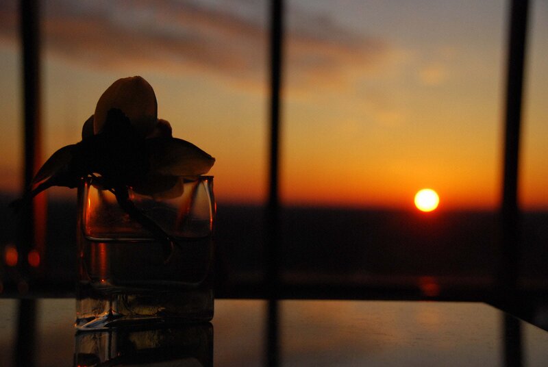 Orchid in Glass Vase — Orange