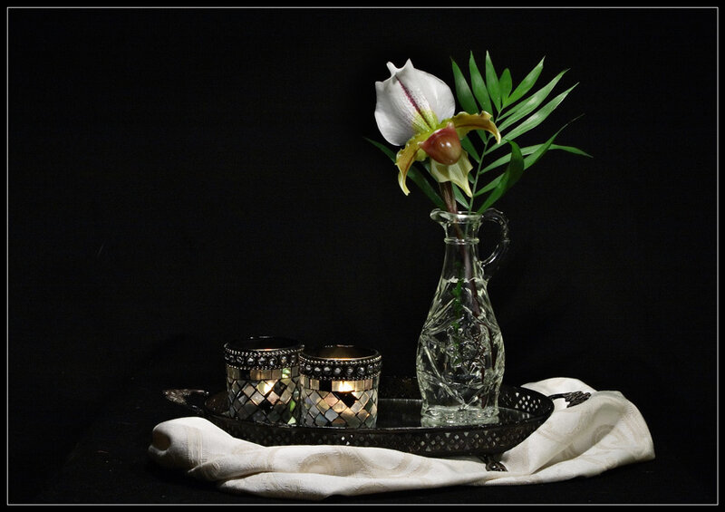 Orchid in Glass Vase