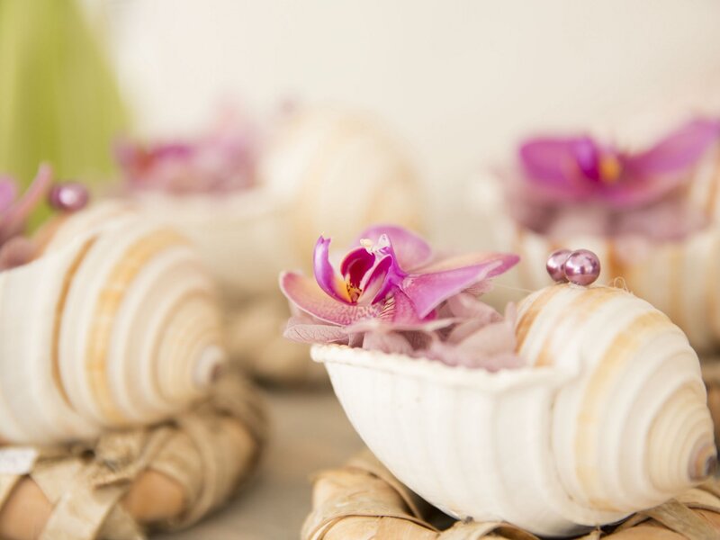Orchid in Seashell