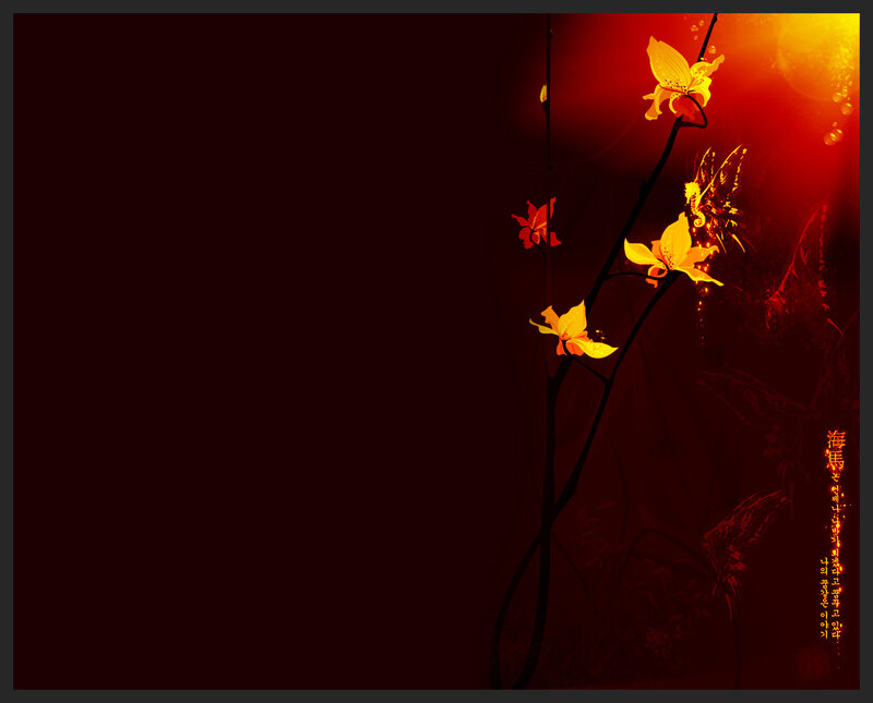 Orchid in warm light