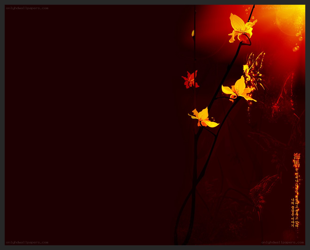 Orchid in warm light