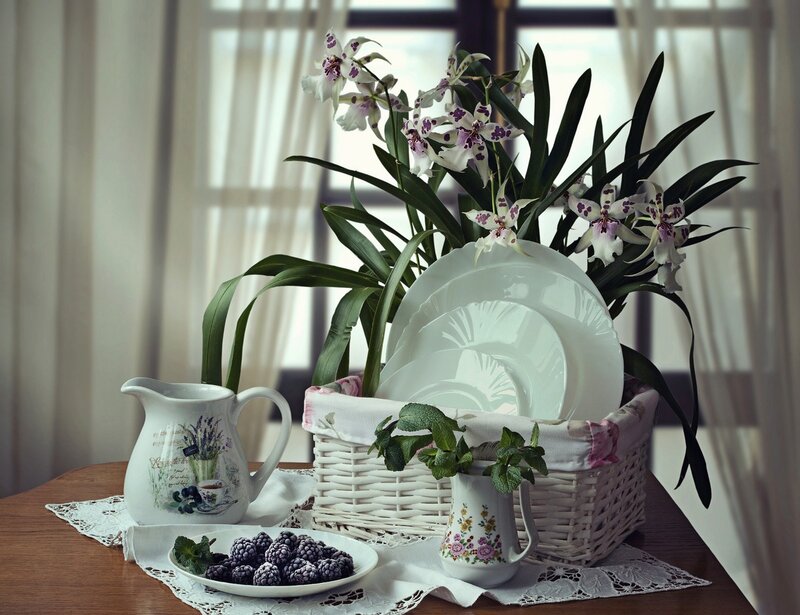 Orchid in Wicker Basket