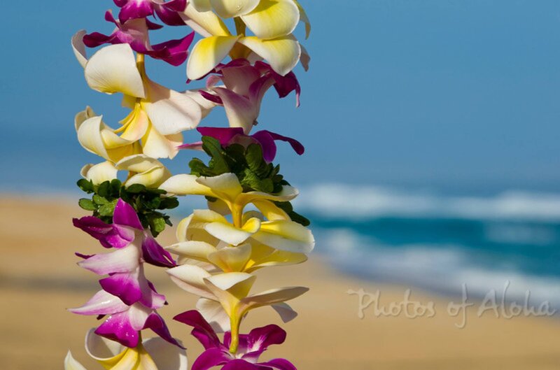 Orchid Lei on Beach