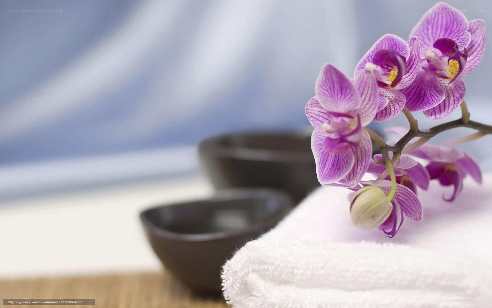 Orchid on a towel