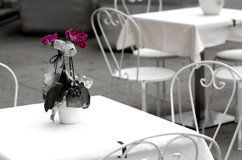 Orchid on Table