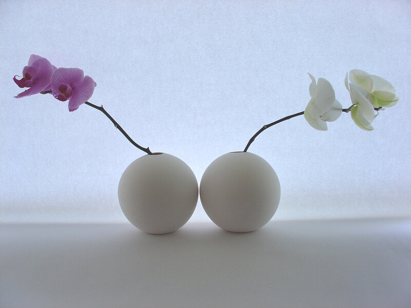 Orchid stems in white vases