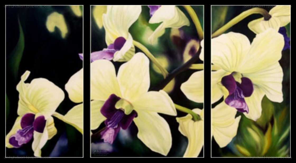 orchid triptych painting