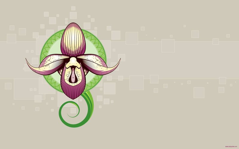 Orchid with circuit design