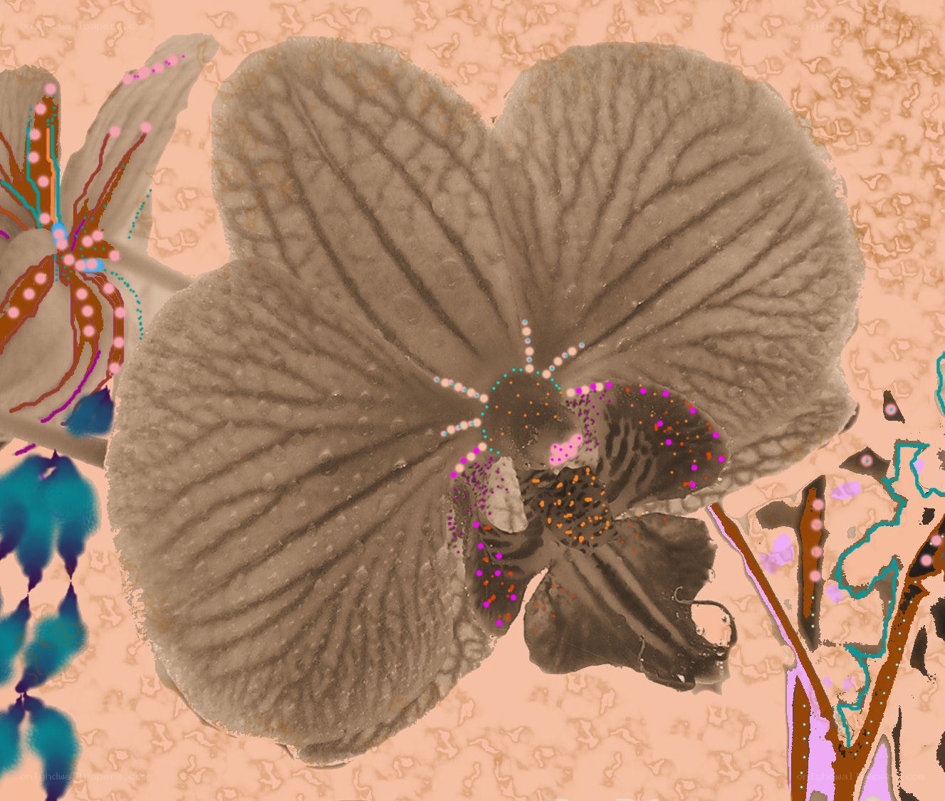Orchid with digital overlay