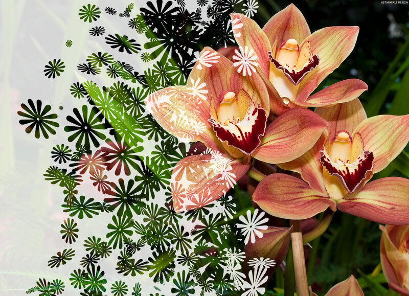 Orchid with floral pattern overlay