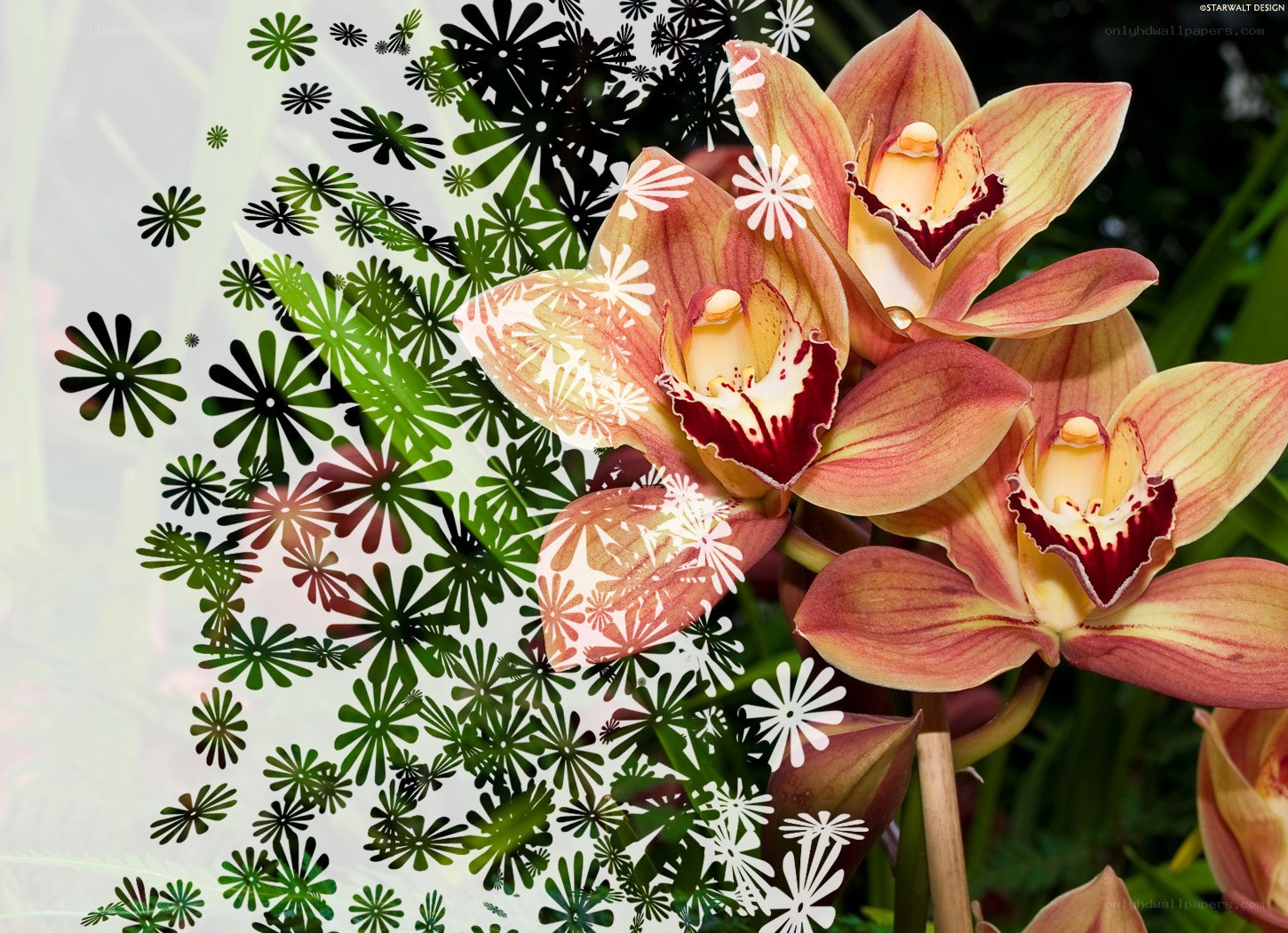 Orchid with floral pattern overlay