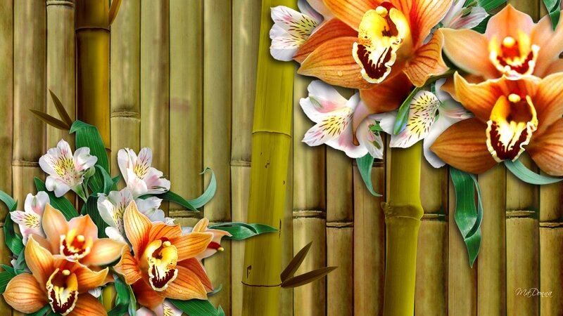 Orchids and Alstroemeria