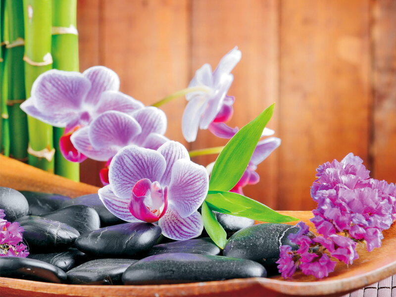 Orchids and Black Stones