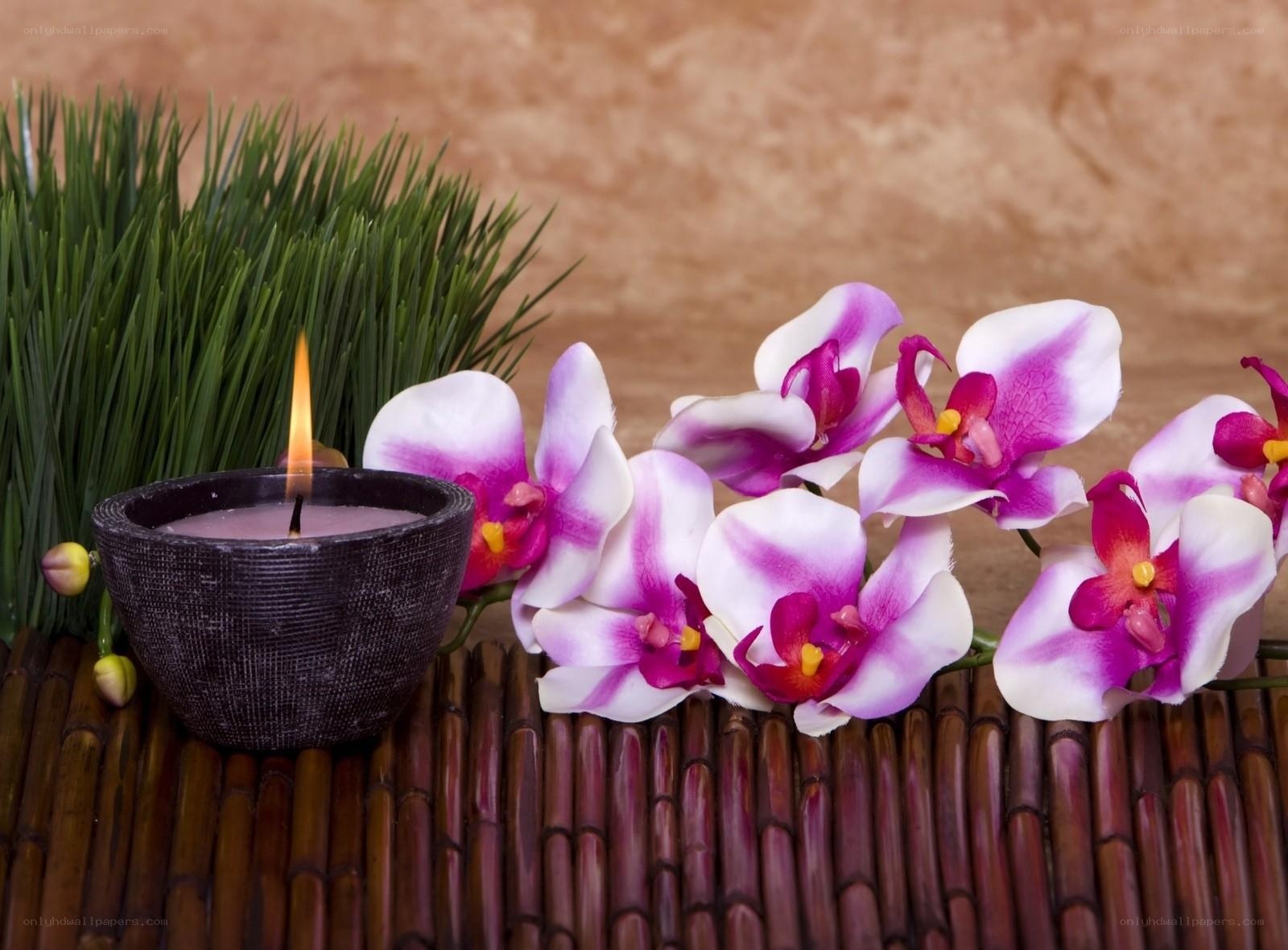 Orchids and candle on bamboo