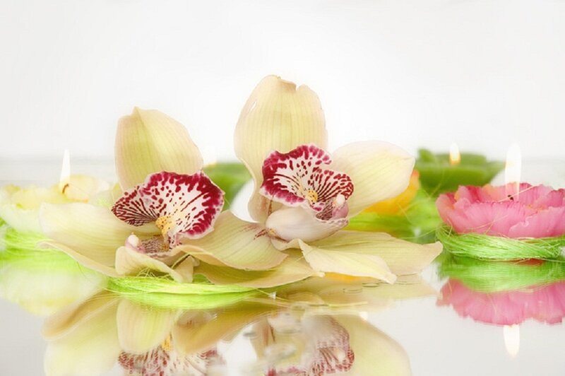 Orchids and candles on water