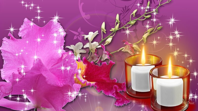 Orchids and Candles