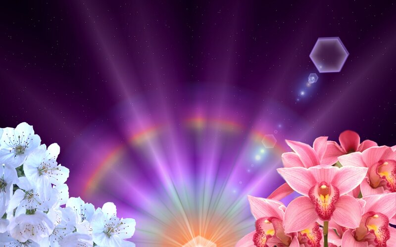 Orchids and Cherry Blossoms