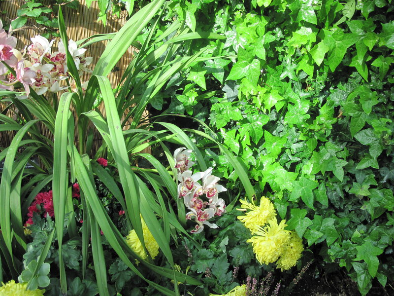 Orchids and Chrysanthemums — Green