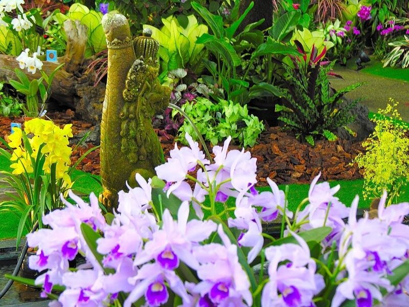 Orchids and garden statue