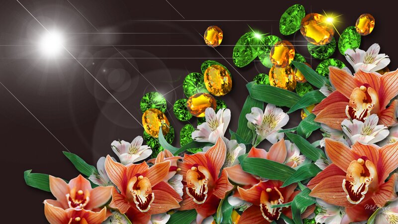 Orchids and Gemstones