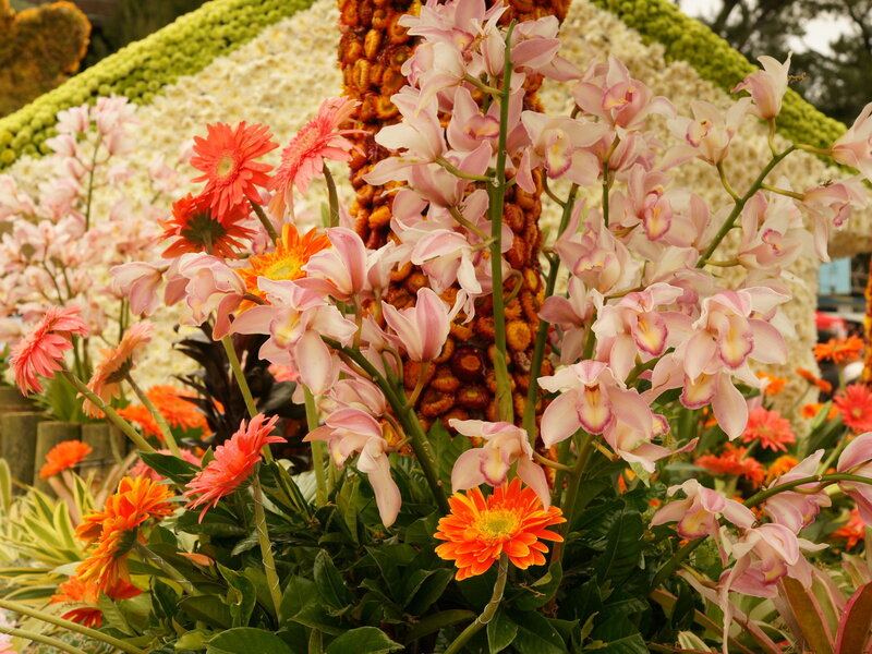 Orchids and Gerbera Daisies