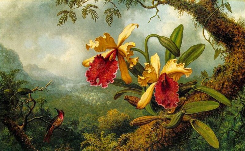 Orchids and Hummingbird — Green