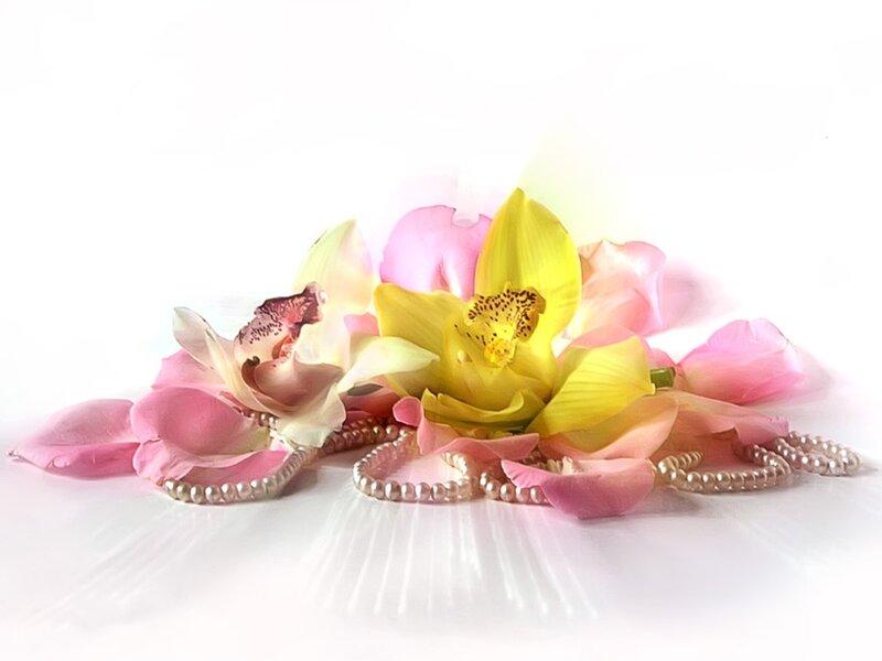 Orchids and pearls on white