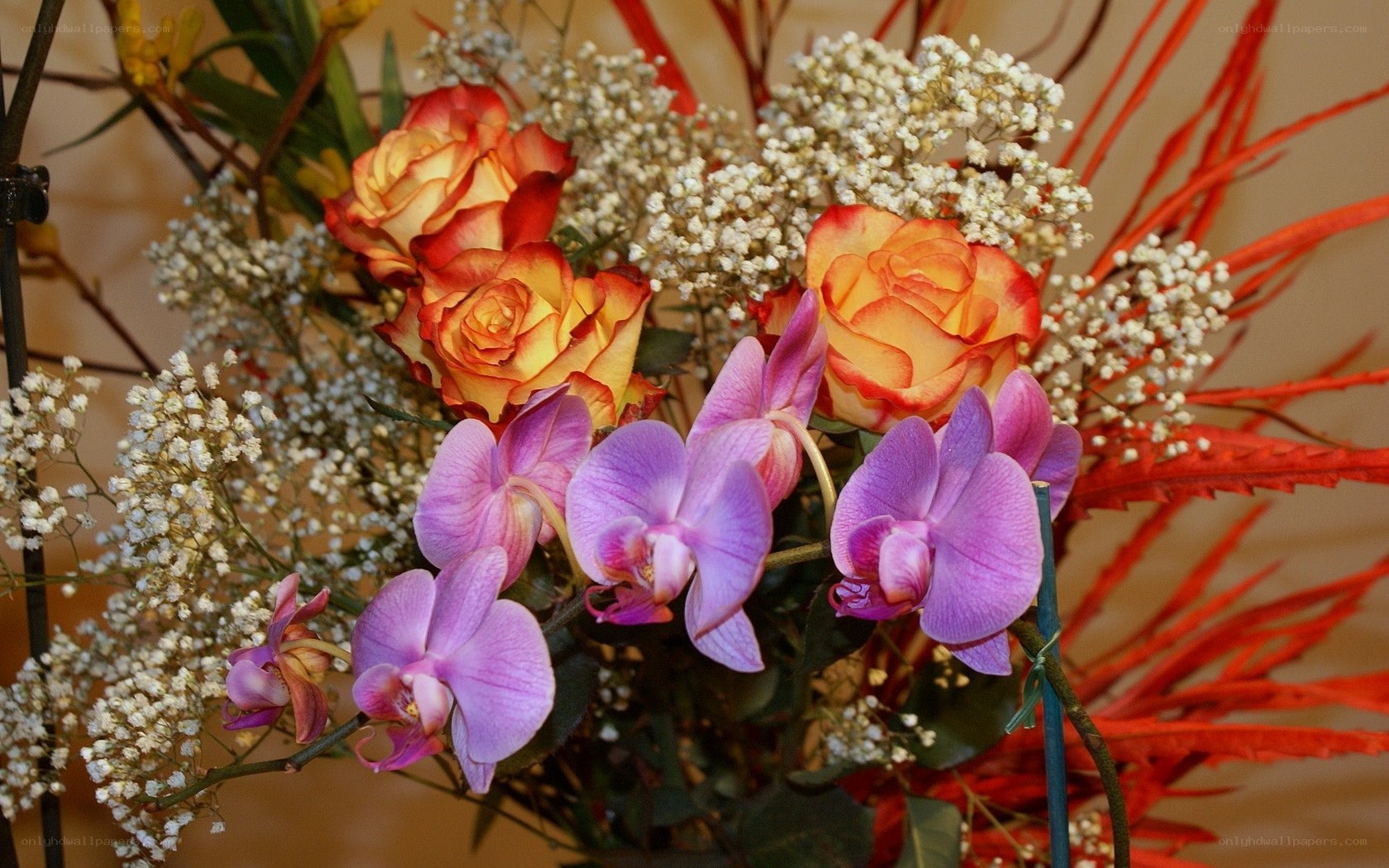 Orchids and roses bouquet