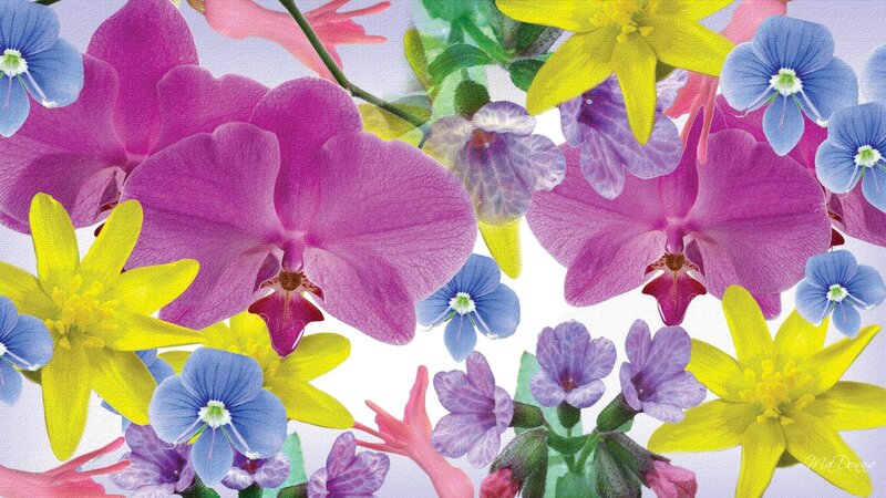 Orchids and Spring Flowers
