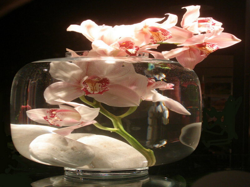 Orchids in a glass bowl