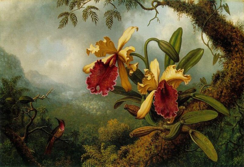 Orchids in a jungle landscape