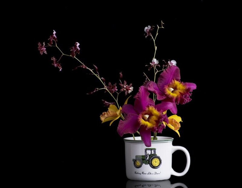 Orchids in a Mug — Purple