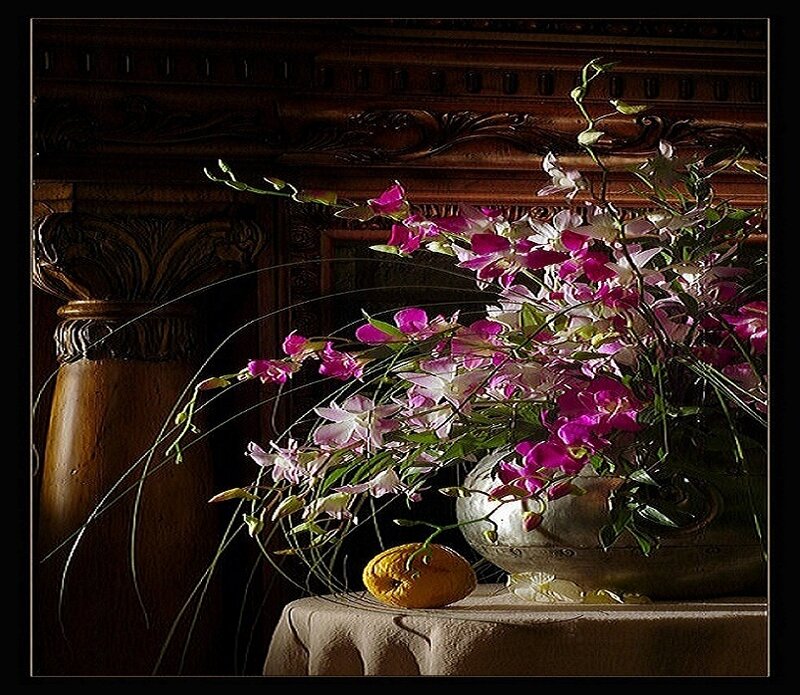 orchids in a silver vase