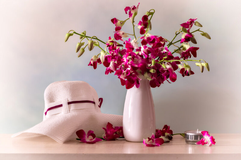 Orchids in a Vase — Pink