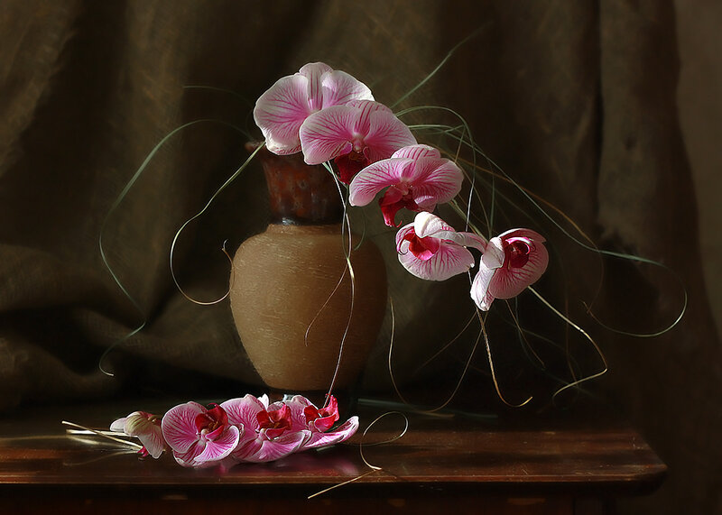 Orchids in a vase