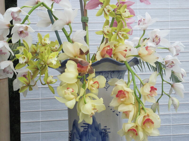 Orchids in a Vase — White, Calm