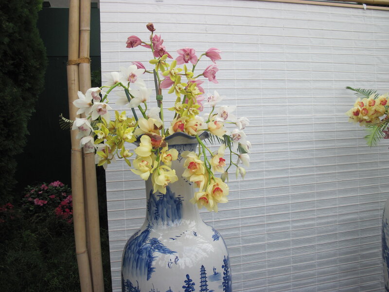 Orchids in Blue-and-white Vase
