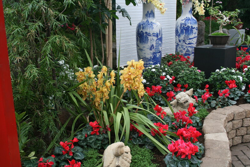 Orchids in Garden — Yellow