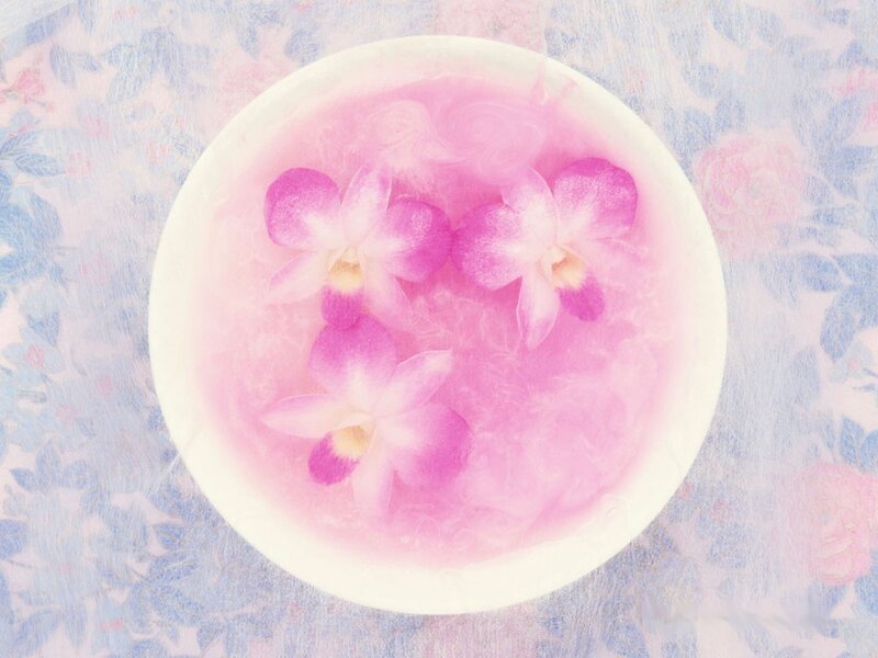 Orchids in pink water