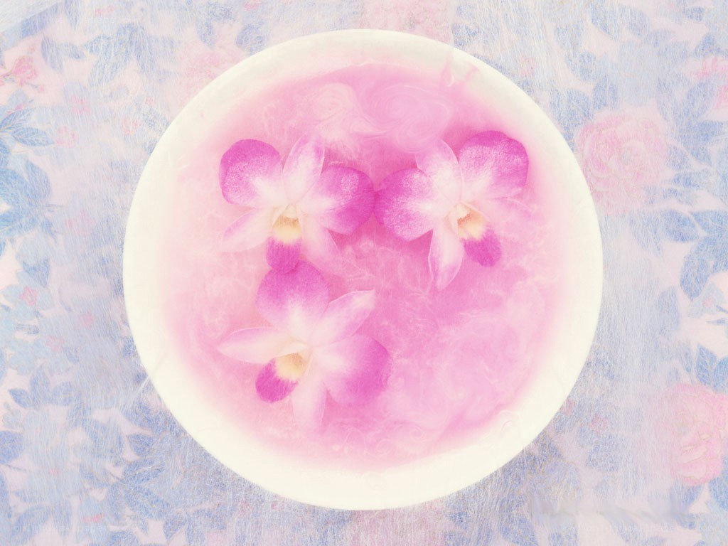 Orchids in pink water