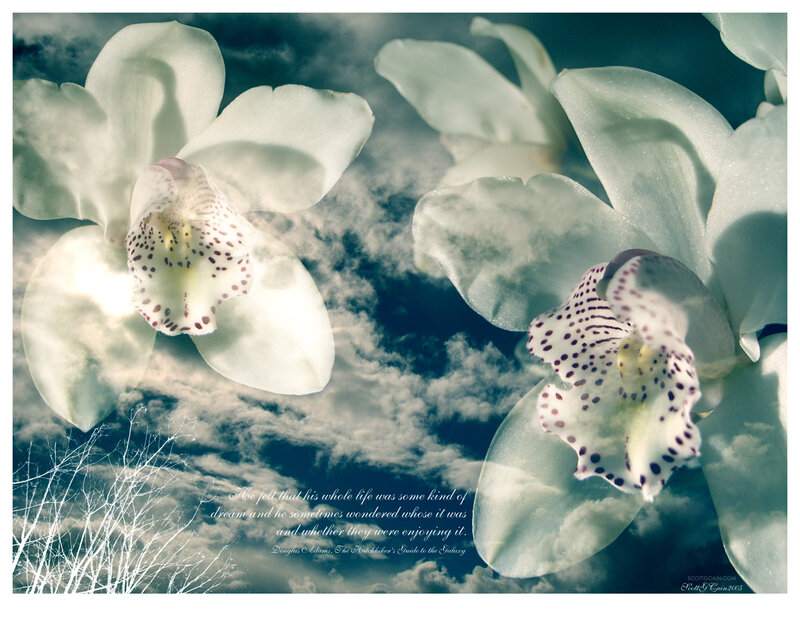 Orchids in the sky