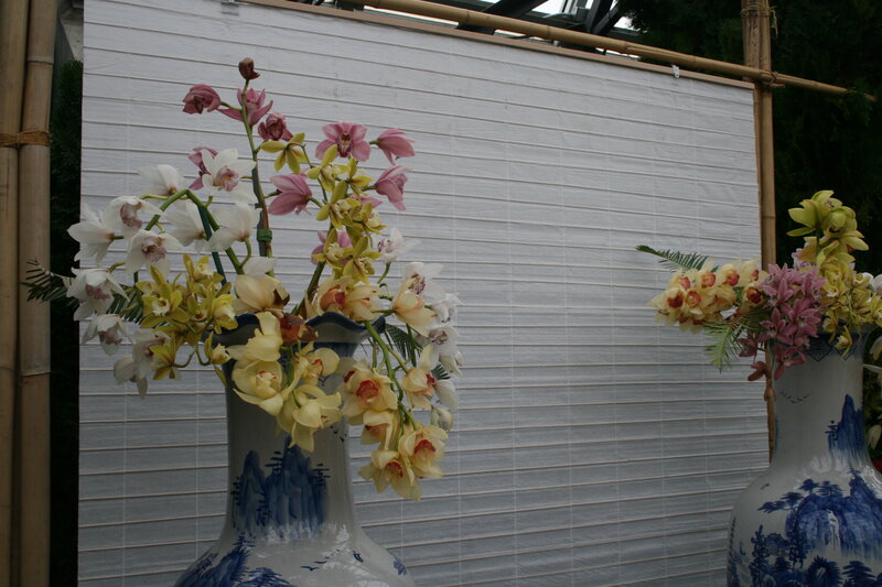Orchids in Vases