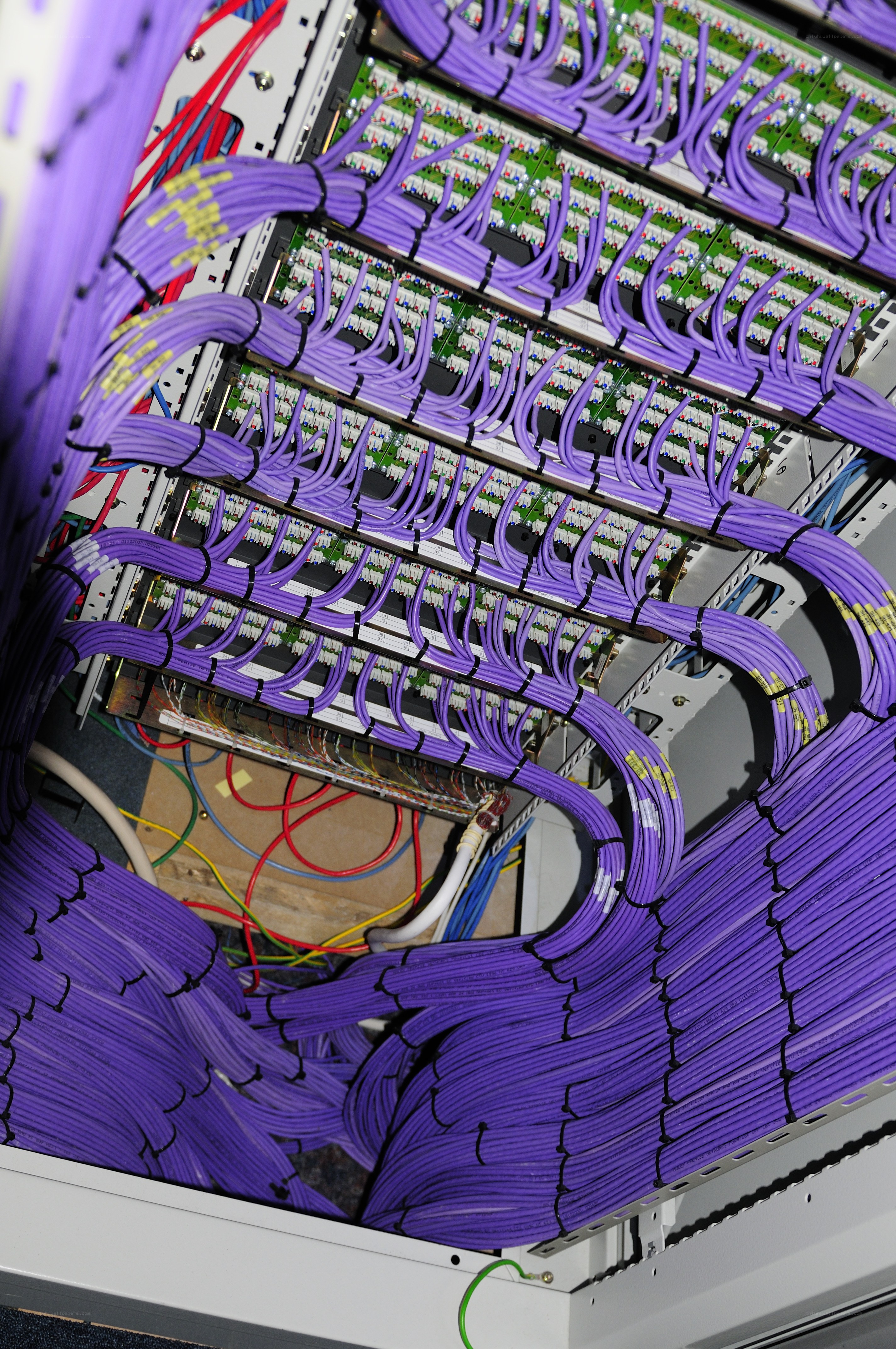 organized network cable rack