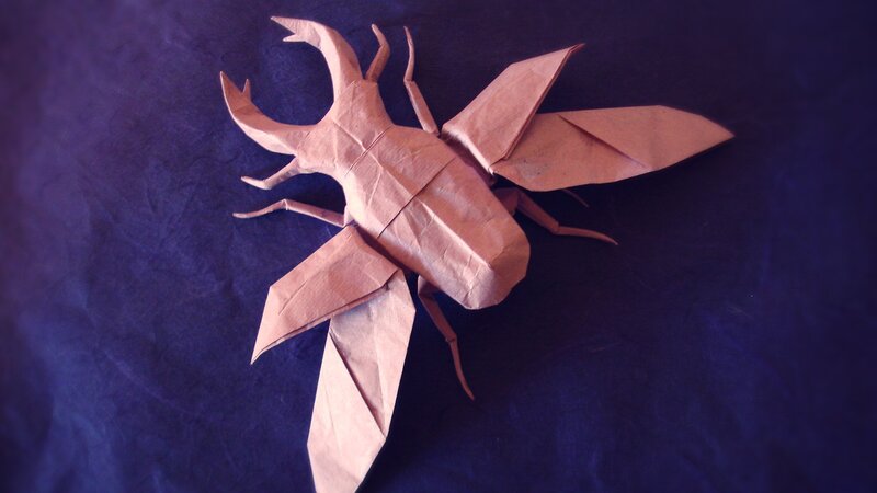 origami beetle sculpture