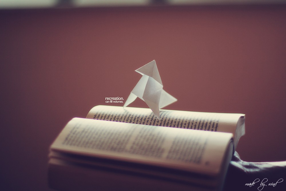 Origami bird on open book
