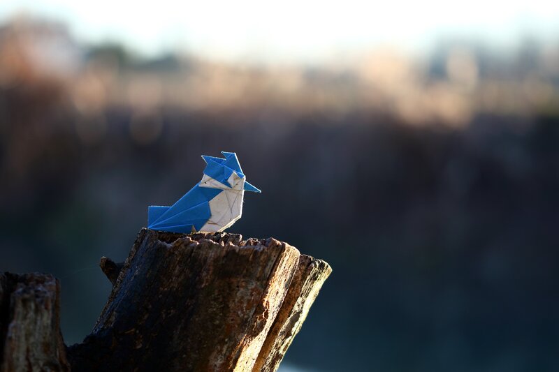 Origami Bird on Stump