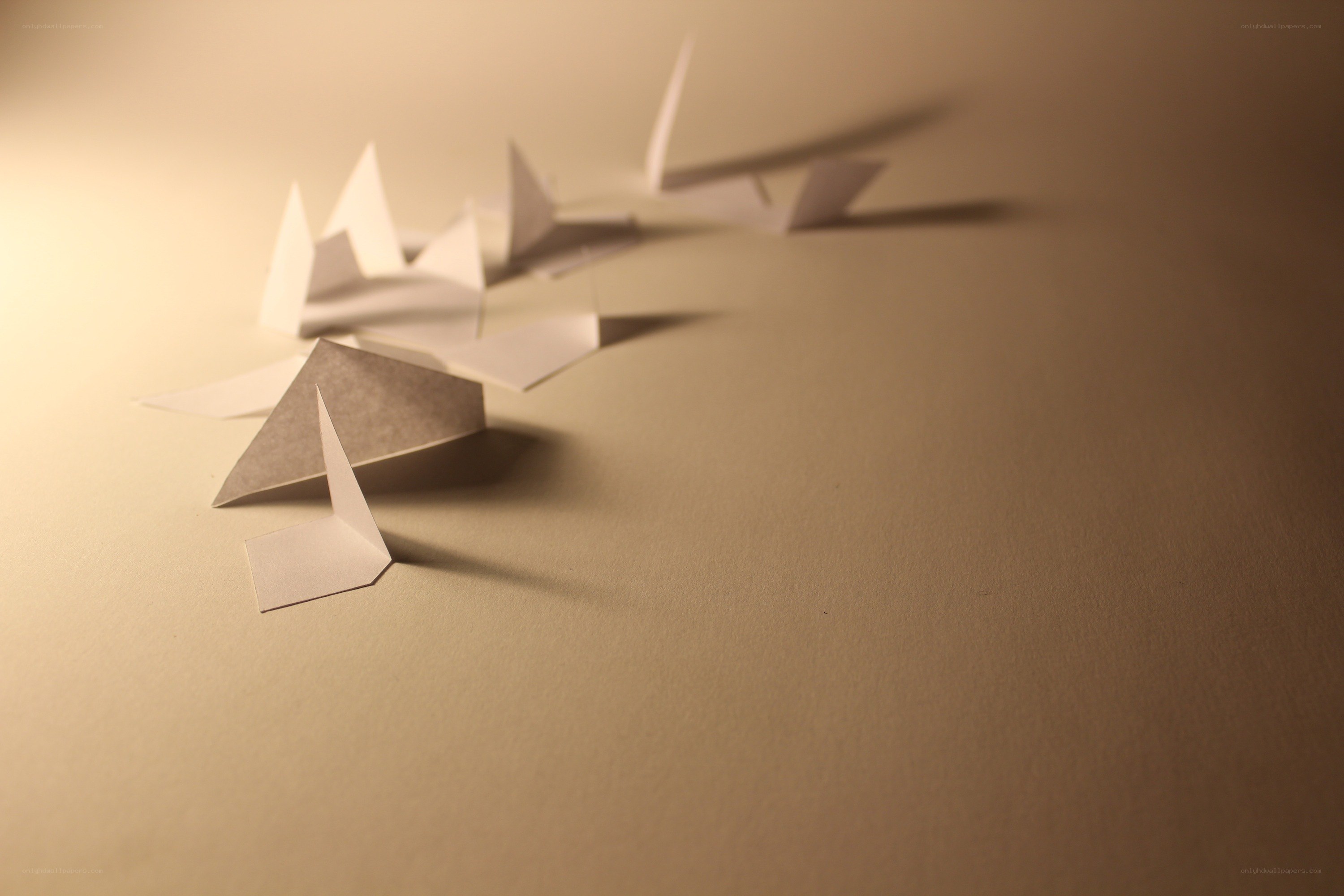 Origami birds on a surface